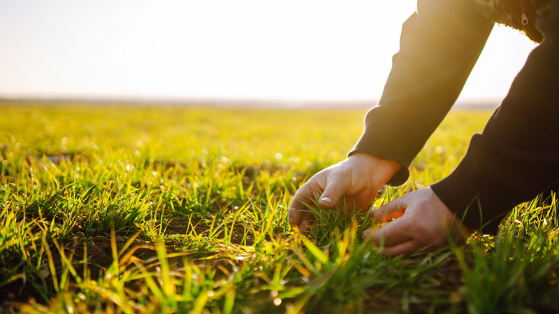 推动变革：维谛技术Vertiv探索ESG与技术的交集 Image